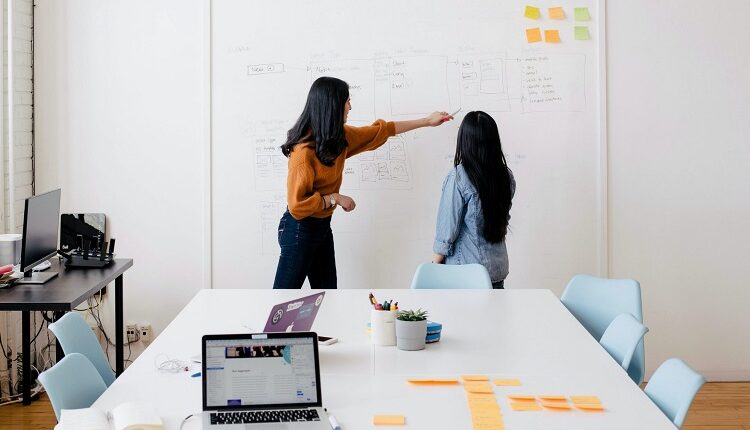 Project Managers